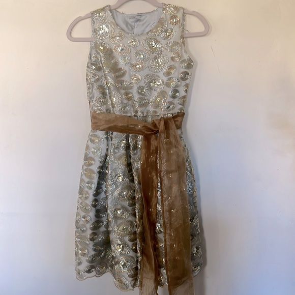 Beautiful, formal girls dress size 14. Isabel Garreton size 12 - Picture 1 of 9